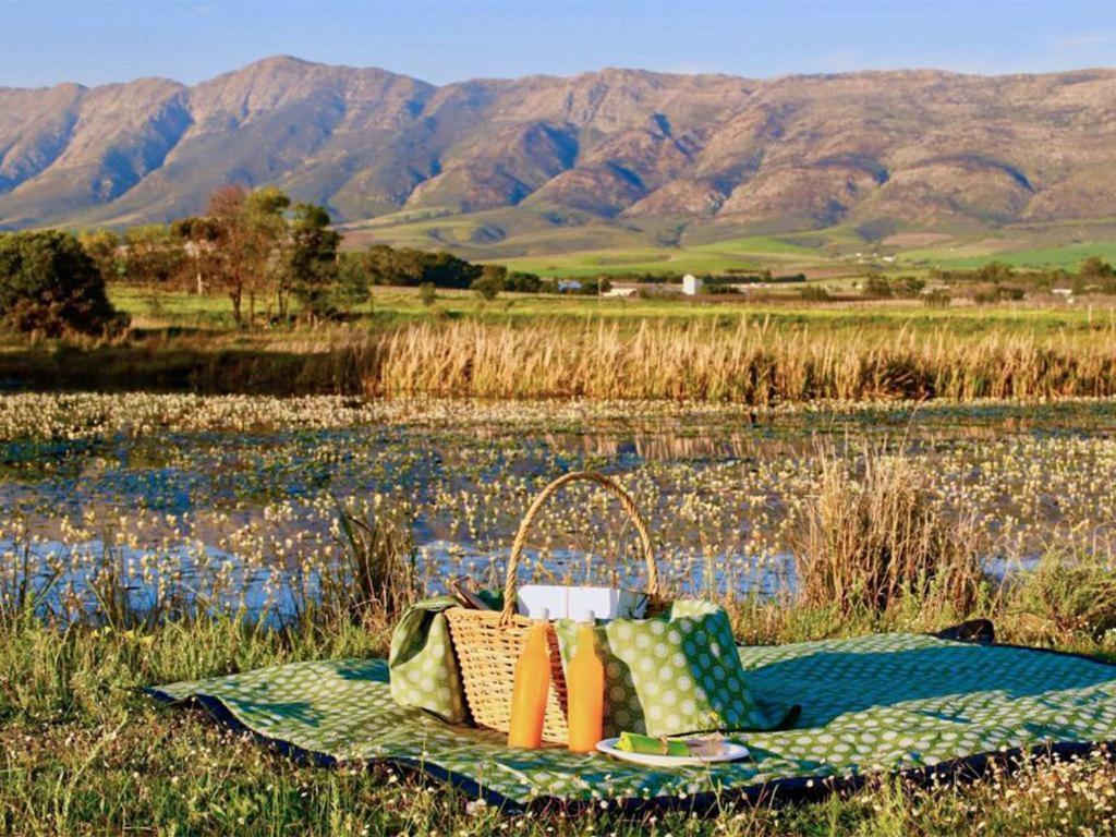 Hotel Duikersdrift Winelands Country Escape Tulbagh Exterior foto